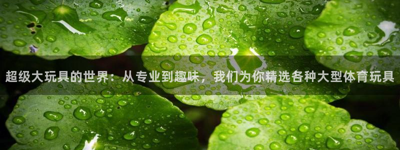 超级大玩具的世界：从专业到趣味，我们为你精选各种大型体育玩具