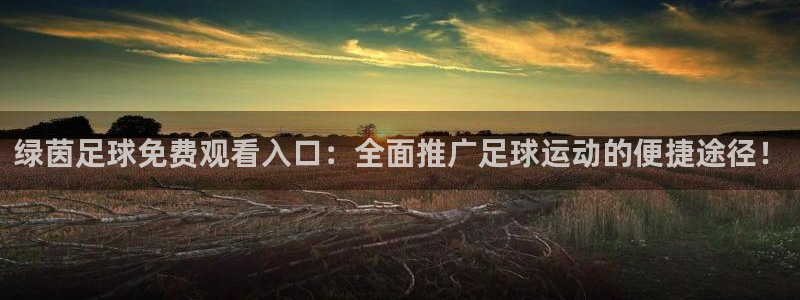 绿茵足球免费观看入口：全面推广足球运动的便捷途径！