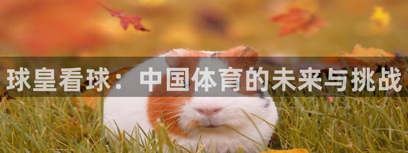 球皇看球：中国体育的未来与挑战