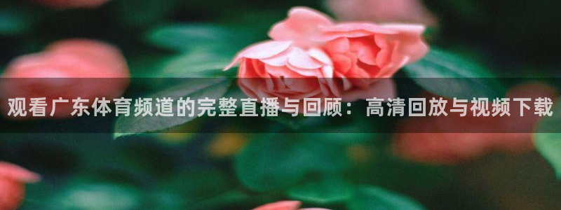 观看广东体育频道的完整直播与回顾：高清回放与视频下载
