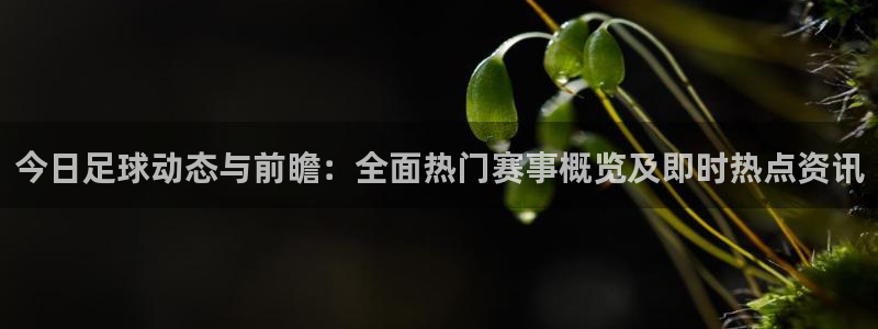今日足球动态与前瞻：全面热门赛事概览及即时热点资讯