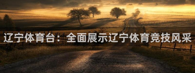 辽宁体育台：全面展示辽宁体育竞技风采
