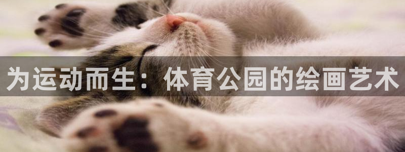 为运动而生：体育公园的绘画艺术