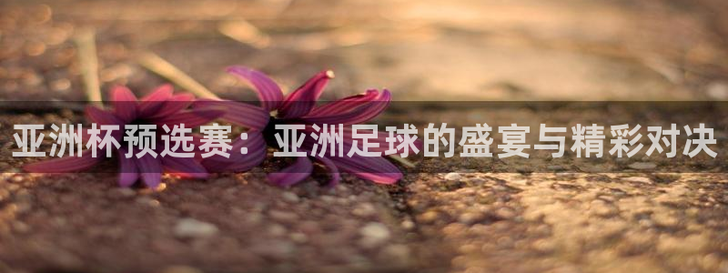 蓝鲸软件下载app