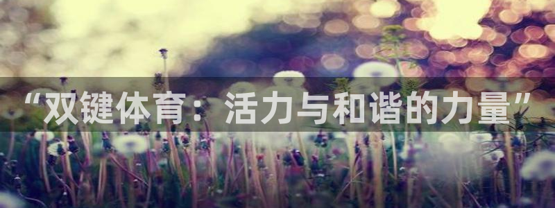 蓝鲸体育nba直播：“双键体育：活力与和谐的力量”