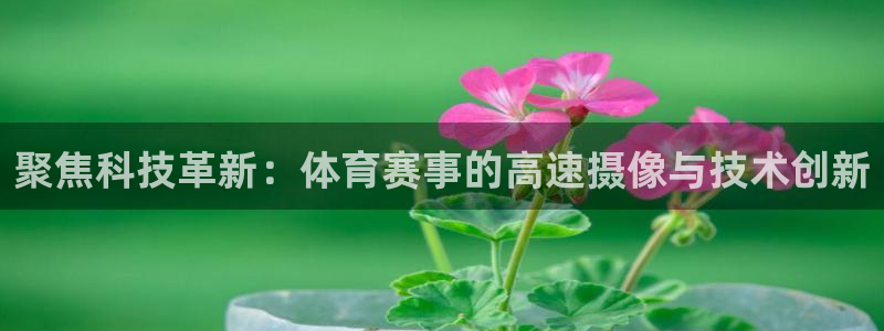 蓝鲸体育直播免费看nba：聚焦科技革新：体育赛事的高速摄像与技术创新
