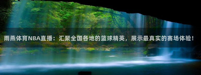 谢宇宁直播间蓝鲸体育：雨燕体育NBA直播：汇聚全国各地的篮球精英，展示最真实的赛场体验！