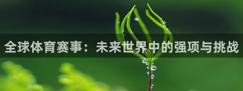 蓝鲸体育app安全吗：全球体育赛事：未来世界中的强项与挑战