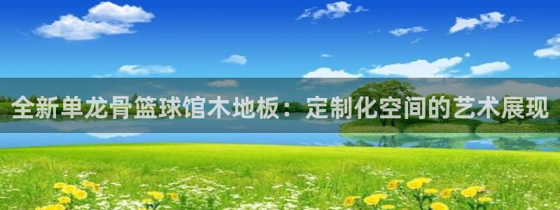 蓝鲸下载安卓版：全新单龙骨篮球馆木地板：定制化空间的艺术展现