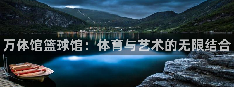 蓝鲸lanjing bar：万体馆篮球馆：体育与艺术的无限结合