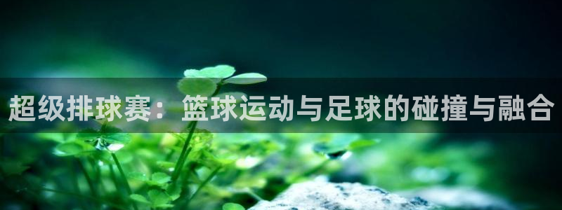 长安逸动21款1.4t蓝鲸尊贵型落地：超级排球赛：篮球运动与足球的碰撞与融合